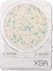 Đĩa Compact Dry XSA Staphylococcus Aureus